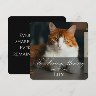 Cat Loss Sympathy Card with Pet Photo & Name Black