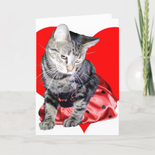 Cat "Love Bug" Valentine's Day car... - Customised Holiday Card