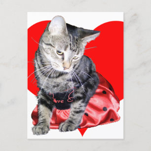 Cat "Love Bug" Valentine's Day postcard