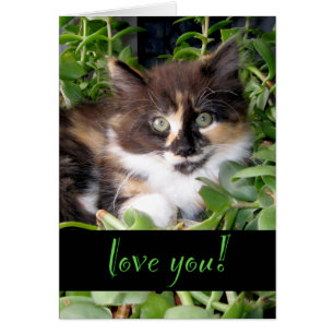 Cat Love Card