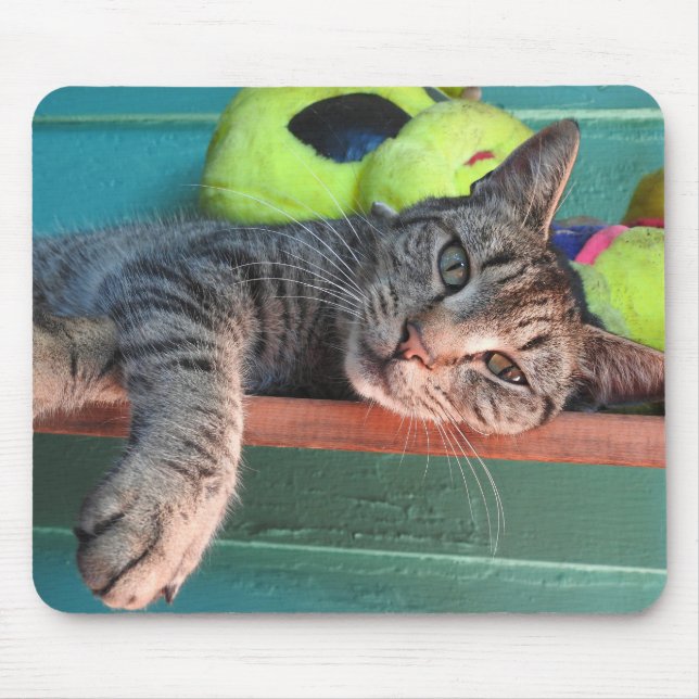 Cat Love Mouse Mat (Front)