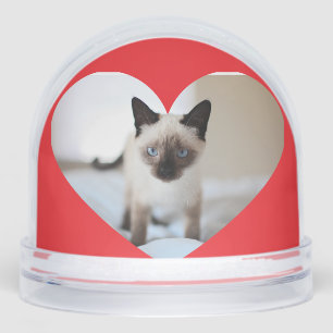 Cat love  snowglobe