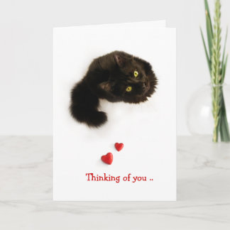 Cat Love Thinking Of You card