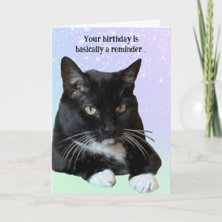 Cat Lover Birthday Card