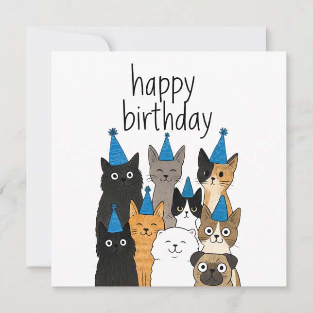Cat Lover Cards - Cat Party Birthday Card (Front)