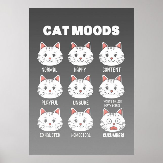 Cat Lover Cat Moods Poster (Front)