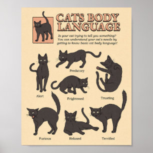 Cat Lover Cats Body Language Poster