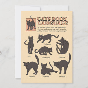 Cat Lover Cats Body Language Thank You Card