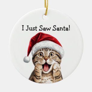 Cat Lover Christmas Gift Cat Ornament