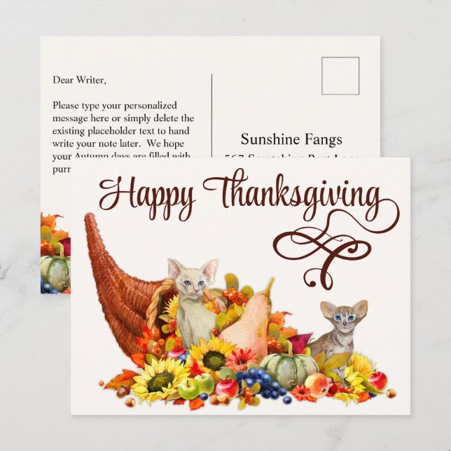 Cat Lover Cornucopia Thanksgiving Holiday Seasonal Postcard (Front/Back)