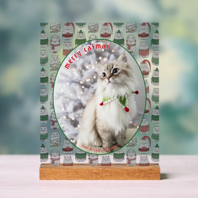 Cat Lover Cute Festive Cat Photo Christmas Acrylic Sign (Neutral)