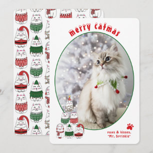 Cat Lover Cute Festive Cat Photo Christmas Holiday Card