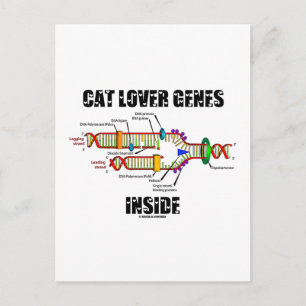 Cat Lover Genes Inside (DNA Replication) Postcard