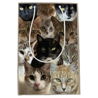 Cat Lover Gift Bag