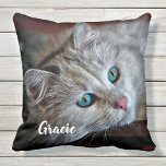 Cat Lover Gift - Custom Pet Photo Keepsake Cat Cushion<br><div class="desc">Celebrate your best friend with a custom pet photo keepsake pillow. Every cat deserves their own personalized photo pillow. Wonderful gift to cat moms, cat dads, and cat lovers ! Pillow is double sided so you can do different photos on each side . Cat Lover Gift - Custom Pet Photo...</div>