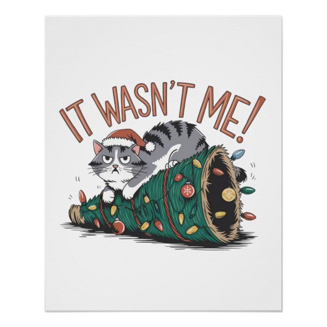 Cat Lover Gift It Was Not Me Poster (Front)