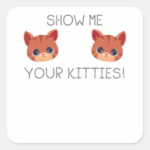 Cat Lover Gift Show Me Your Kitties Funny Meme Gif Square Sticker