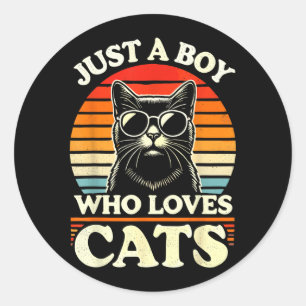Cat Lover Just A Boy Who Loves Cats Classic Round Sticker
