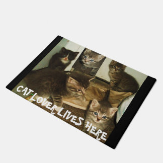 CAT LOVER LIVES HERE  DOORMAT