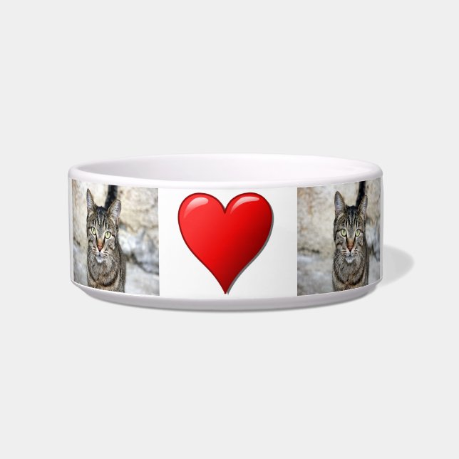 Cat Lover Pet Bowl (Front)