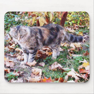 Cat Lovers Autumn Cat Photo Mouse Mat