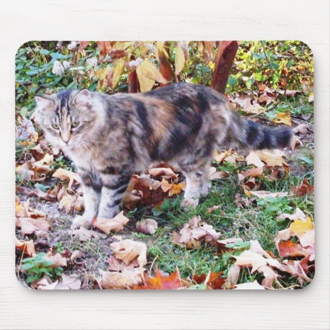 Cat Lovers Autumn Cat Photo Mouse Mat (Front)