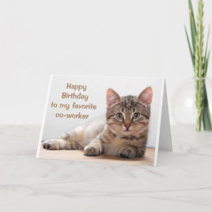 **CAT LOVER'S CO-WORKER'S BIRTHDAY** CARD