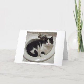 Cat lovers delight card