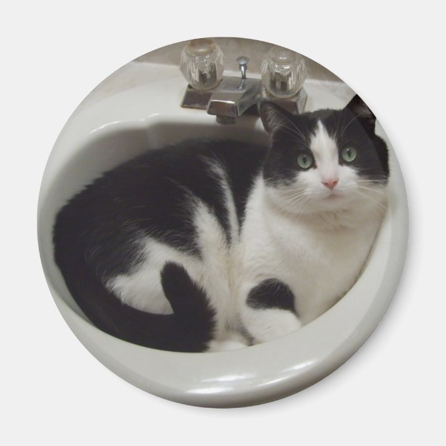 Cat lovers delight magnet (Front)