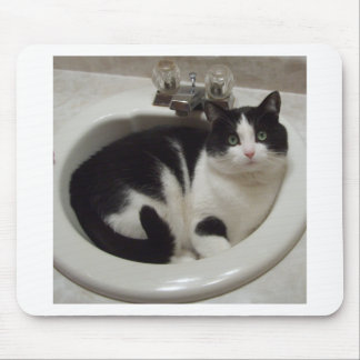 Cat lovers delight mouse mat