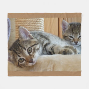 Cat Lovers Fleece Blanket