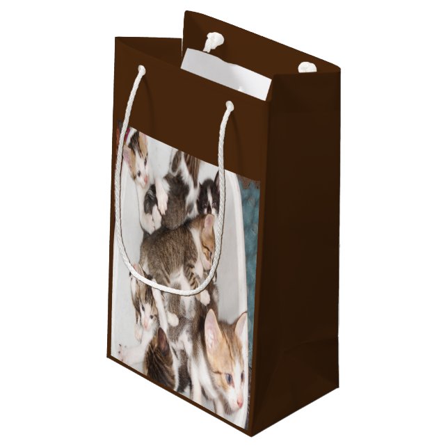 Cat lovers gift small gift bag (Back Angled)