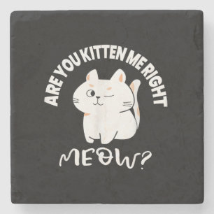 Cat Lovers Gifts Are You Kitten Me Right Meow Stone Coaster