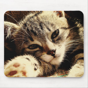Cat Lovers Mouse Mat
