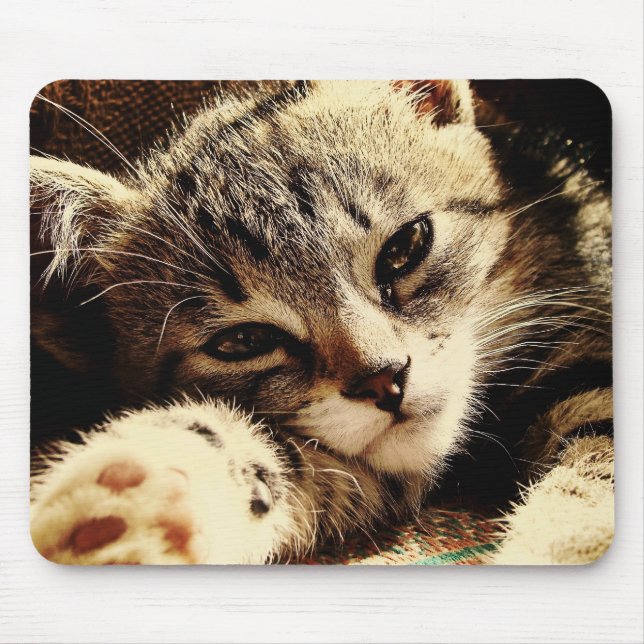 Cat Lovers Mouse Mat (Front)
