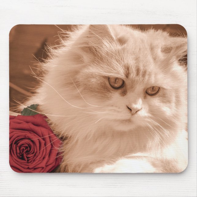 Cat Lovers Mouse Mat (Front)