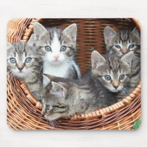 Cat Lovers Mouse Mat