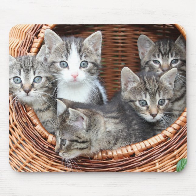 Cat Lovers Mouse Mat (Front)