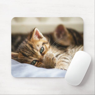 Cat Lovers Mouse Mat