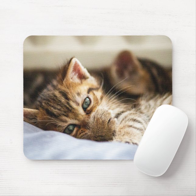 Cat Lovers Mouse Mat (With Mouse)