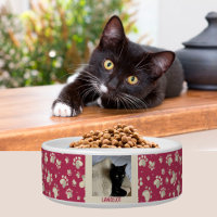 Cat Lovers Paw Prints Photo Name