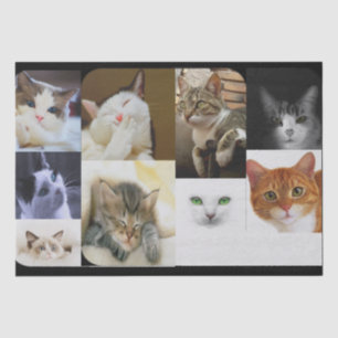 Cat Lovers Tissue Paper