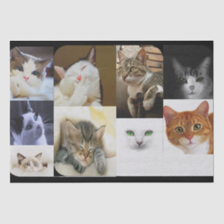 Cat Lovers Tissue Paper