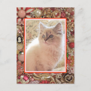 Cat Lover's Vintage Jewellery Photo Design Postcard