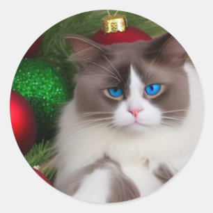 cat loves christmas tree fun  classic round sticker