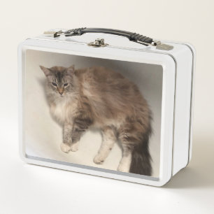 Cat Lunch Box