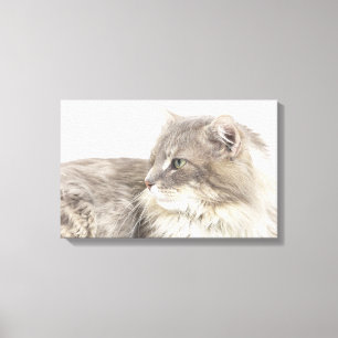 Cat lying down canvas print