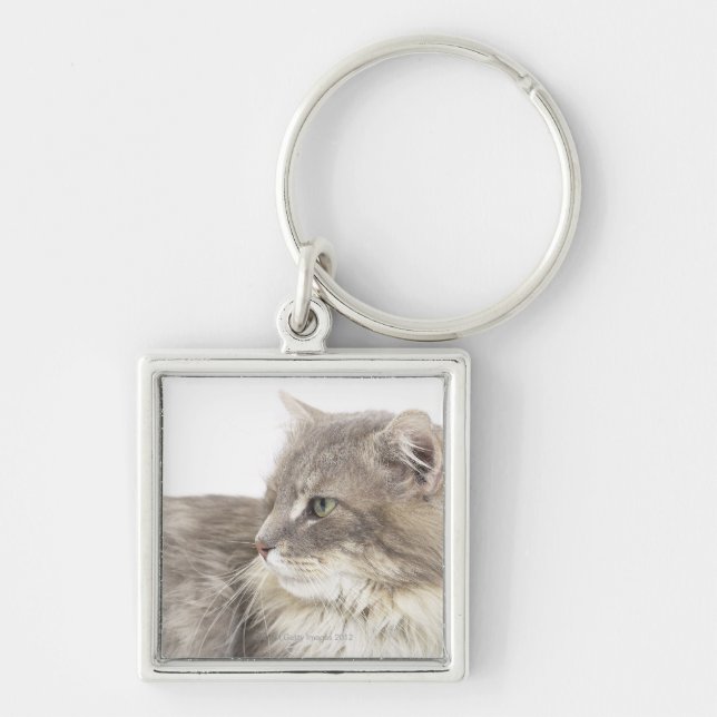 Cat lying down key ring (Front)
