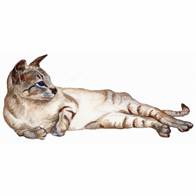 cat lying down (tabby point siamese cat) sculpture standing photo sculpture (Front)