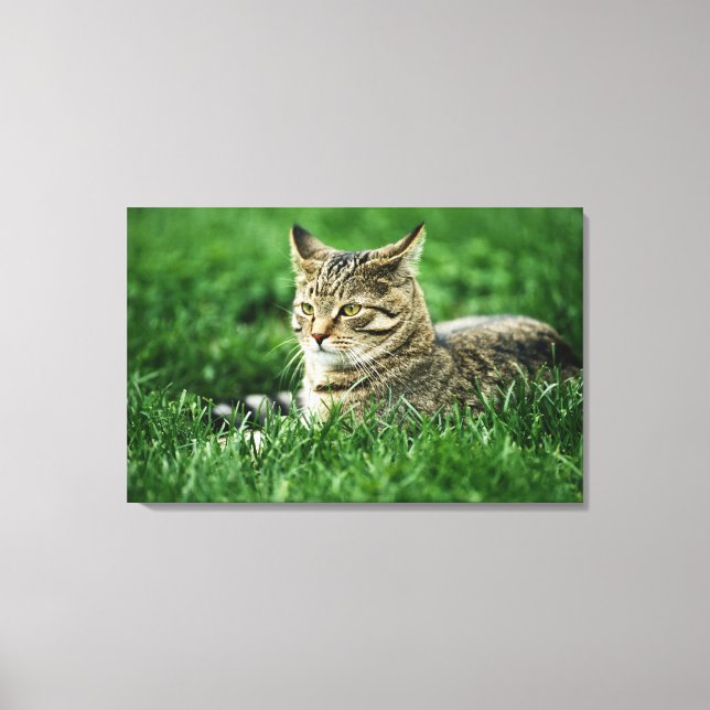 Cat lying in grass canvas print (Front)